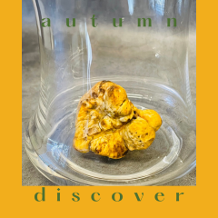 Chrome Yellow and Green Simple Frame Autumn Discount Instagram Post.png