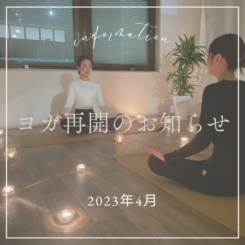 来年度よりヨガを再開します🧘‍♀️
