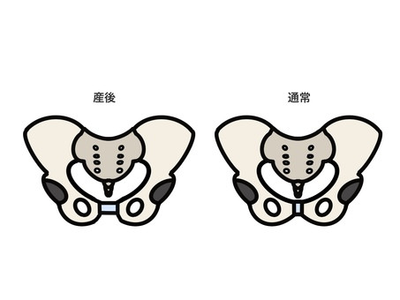 妊娠〜産後の体には何が起こる？