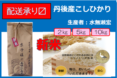 令和６年度産/京丹後コシヒカリ　まもなく入荷！！