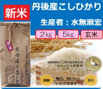 新米リッチカード.jpg