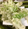 2日（火）は通常営業