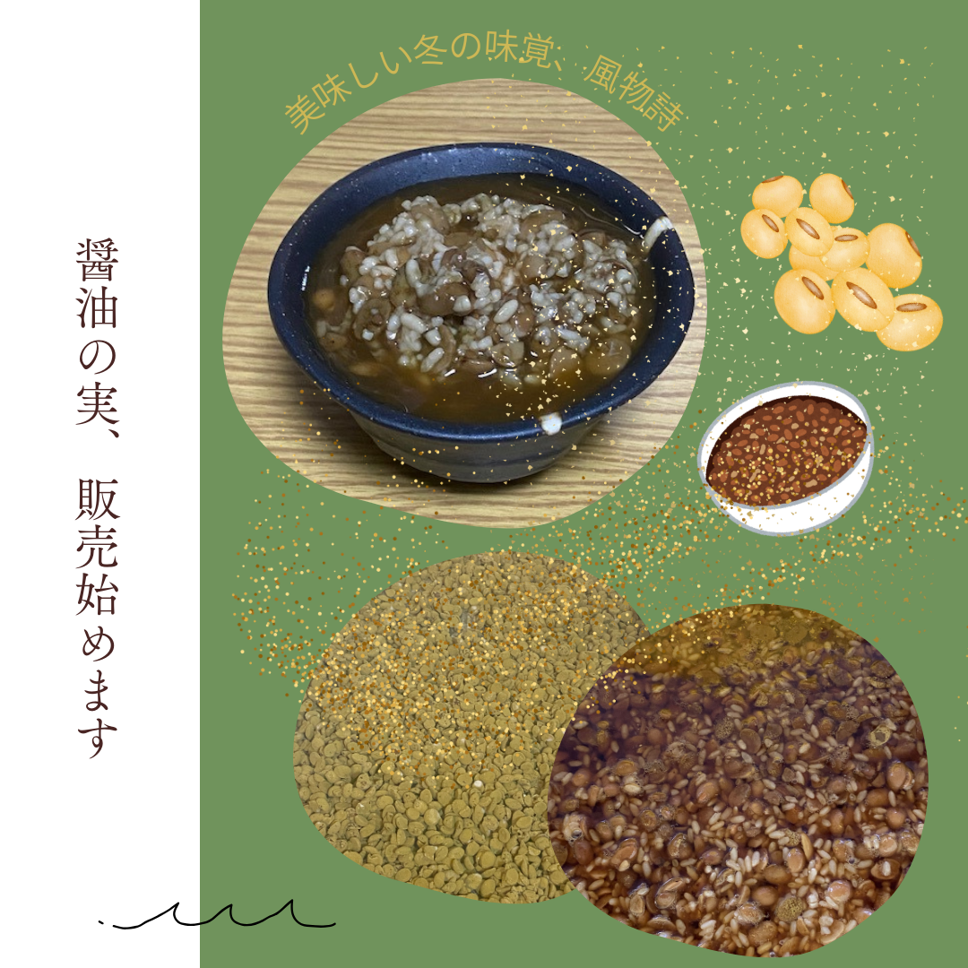 「醤油の実」本日より販売いたします