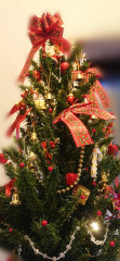 Point Blur_20230109_195450.jpg