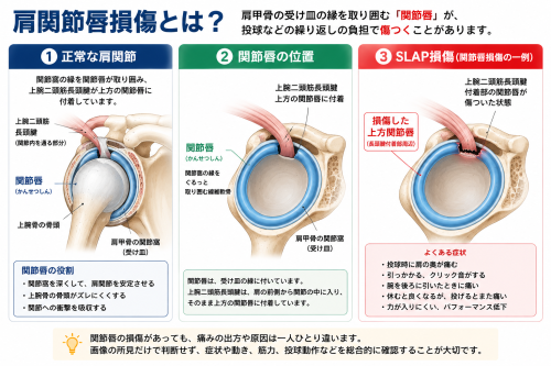 ChatGPT Image 2026年8月5日 22_03_05.png