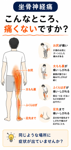 ChatGPT Image 2026年8月6日 00_35_12.png