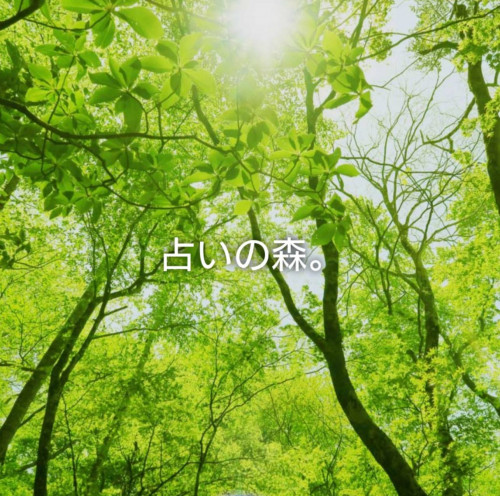 森咲陽