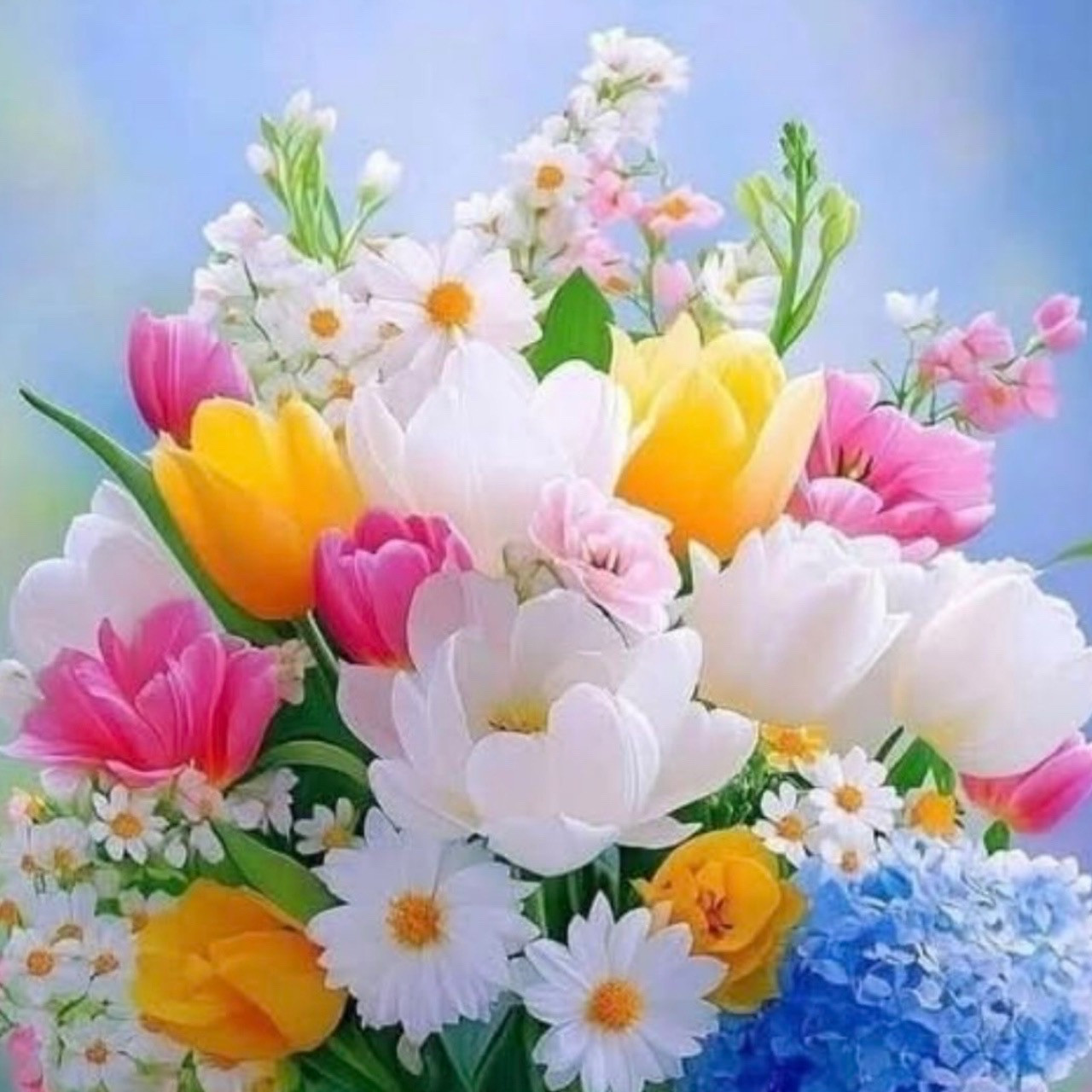 紫帆魅先生、復帰のお知らせ（大和店）