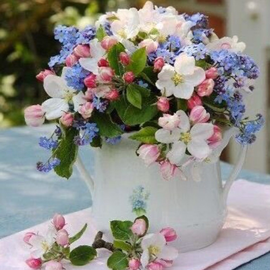 11月15日(土)鑑定士変更のお知らせ（伊都店）