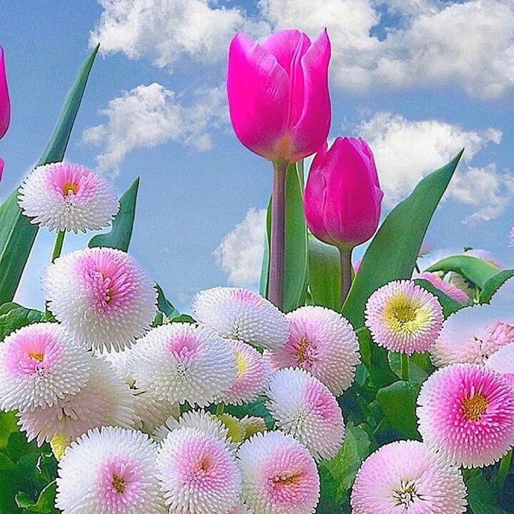 3月28日(土)鑑定士変更のお知らせ（伊都店）