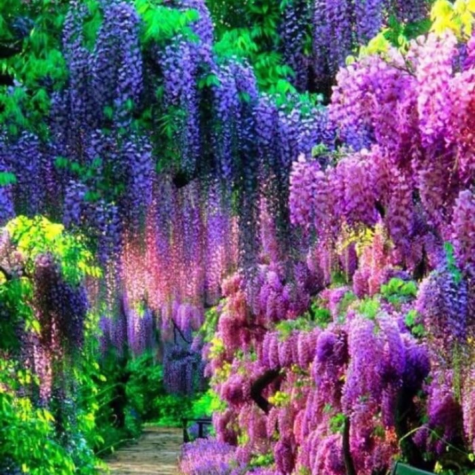 ４月29日(水)鑑定士変更のお知らせ（伊都店）