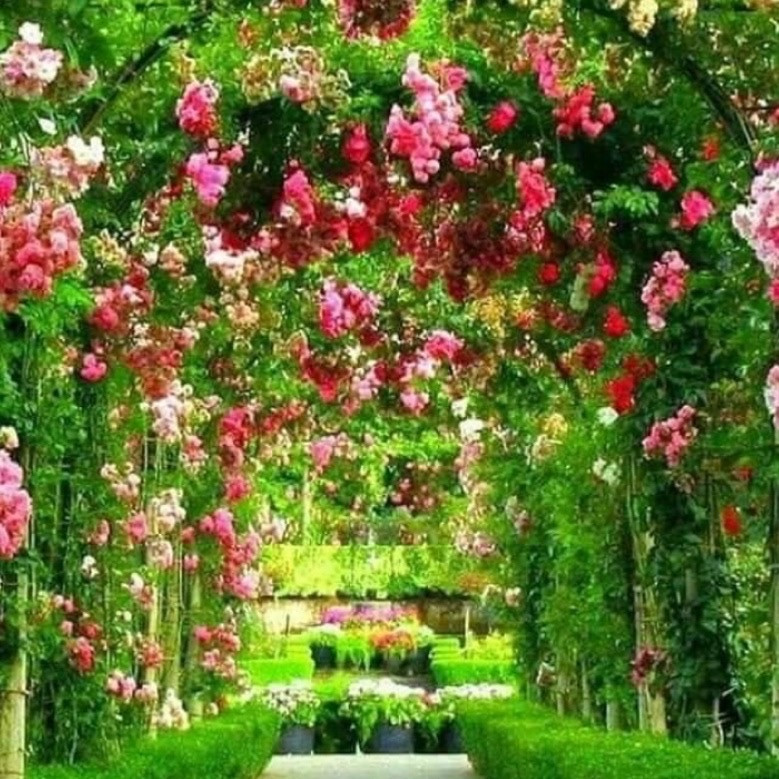 ５月５日(火)鑑定士変更のお知らせ（伊都店）