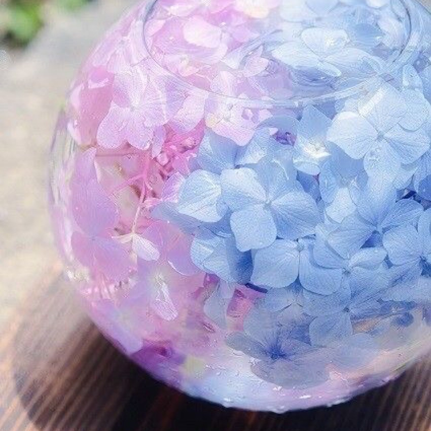 ７月４日(土)鑑定士変更のお知らせ（伊都店）