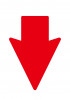 arrow-south-white-red@2x-100.jpg
