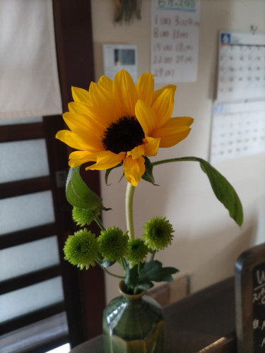 6月の定休日のお知らせ