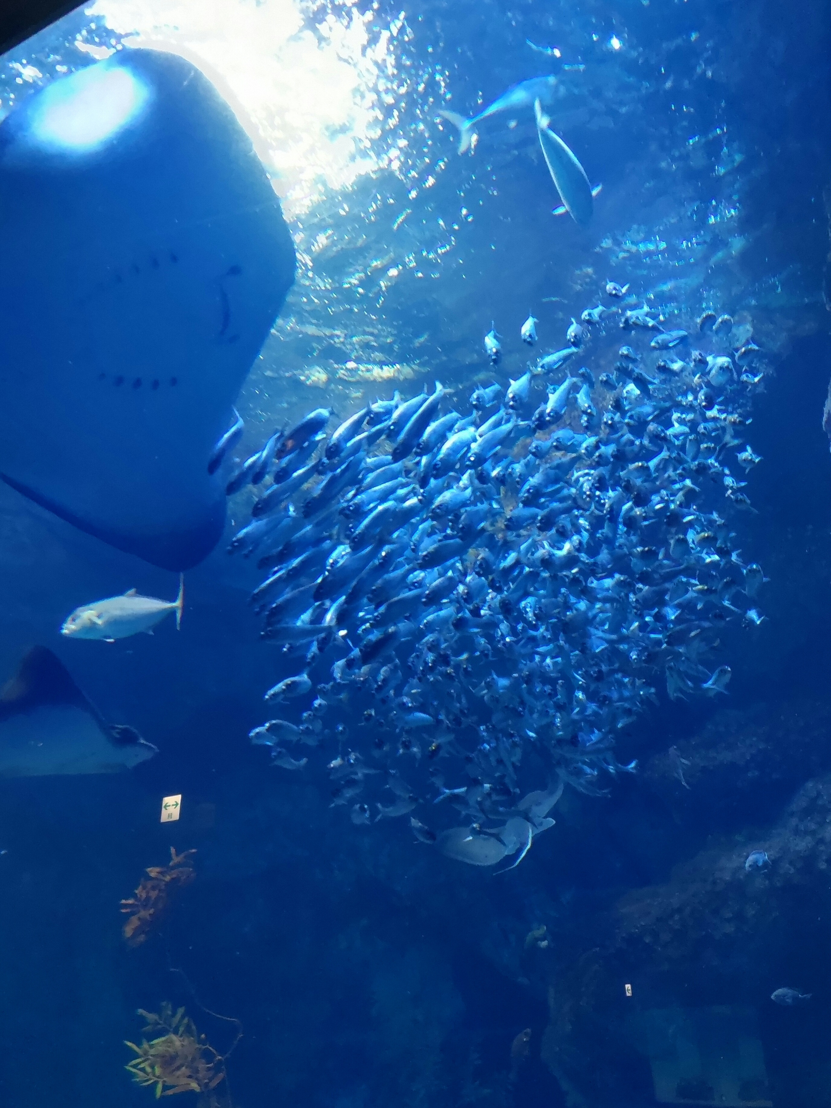 １１月の定休日のお知らせ