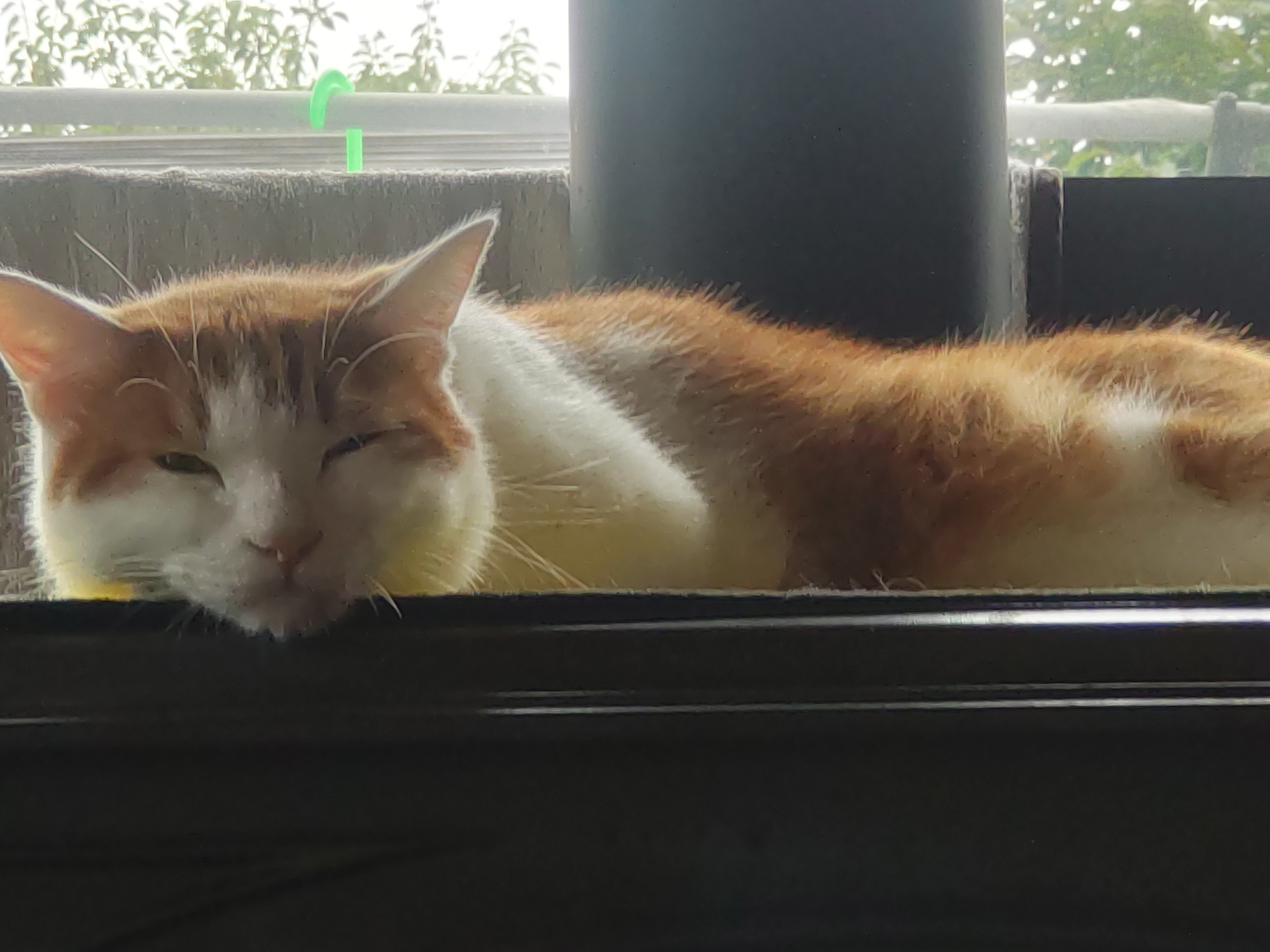 コースの価格変更のお知らせ