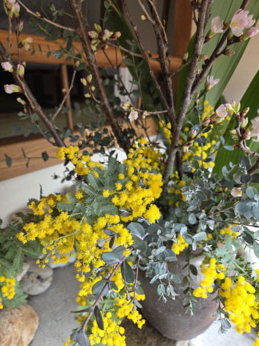 ３月の定休日のお知らせ