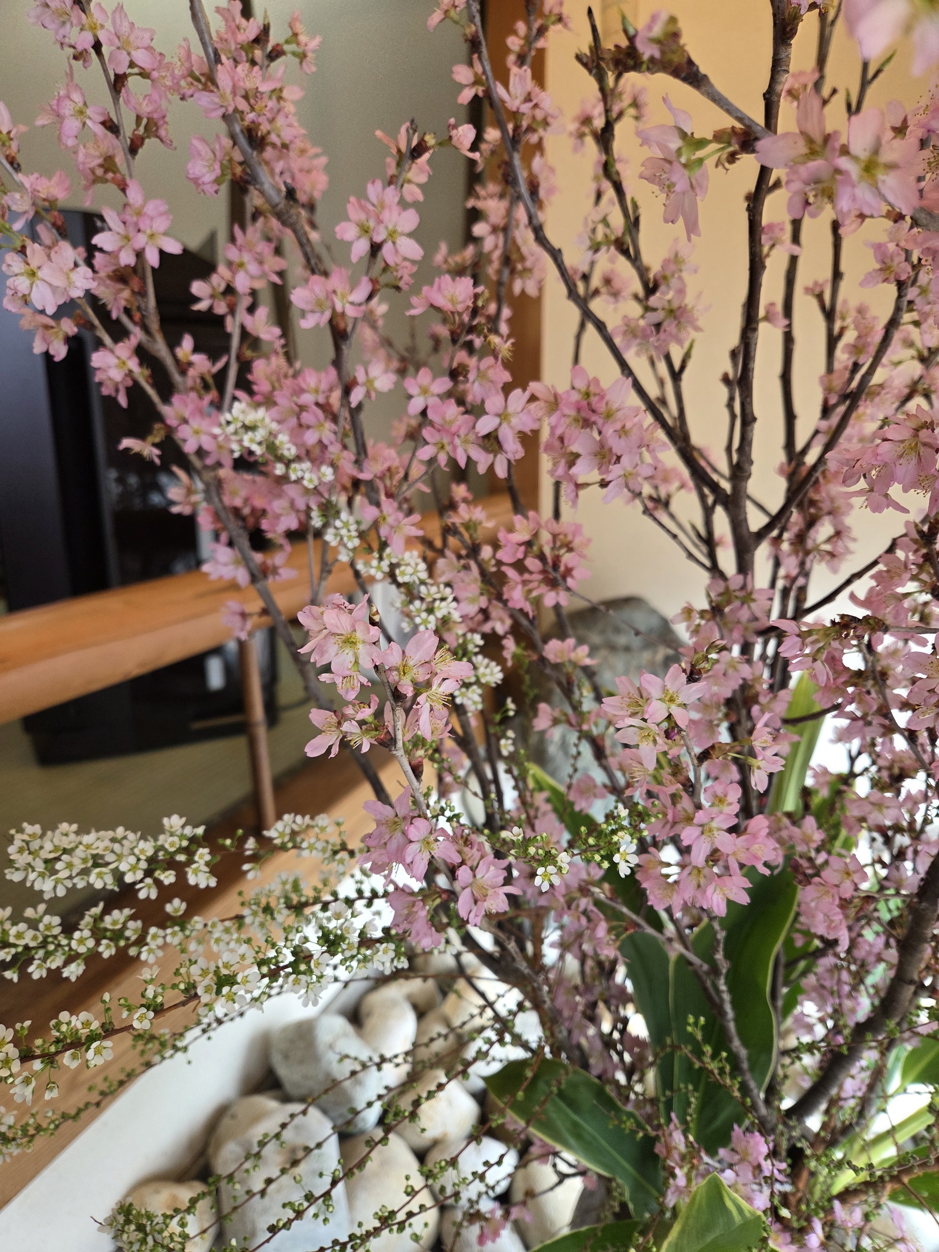 4月の定休日のお知らせ