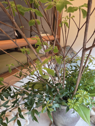 5月の定休日のお知らせ