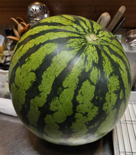 ８月の定休日のお知らせ