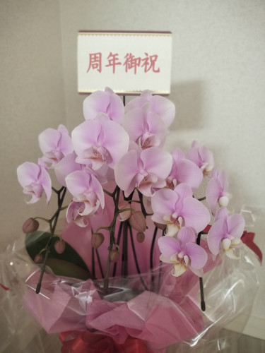 IMG20260701090042.jpg