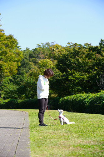 4月24㈭・5月29㈭ 今のアナタままで!もっと犬に愛される💛飼い主魅力UPセミナー🐶