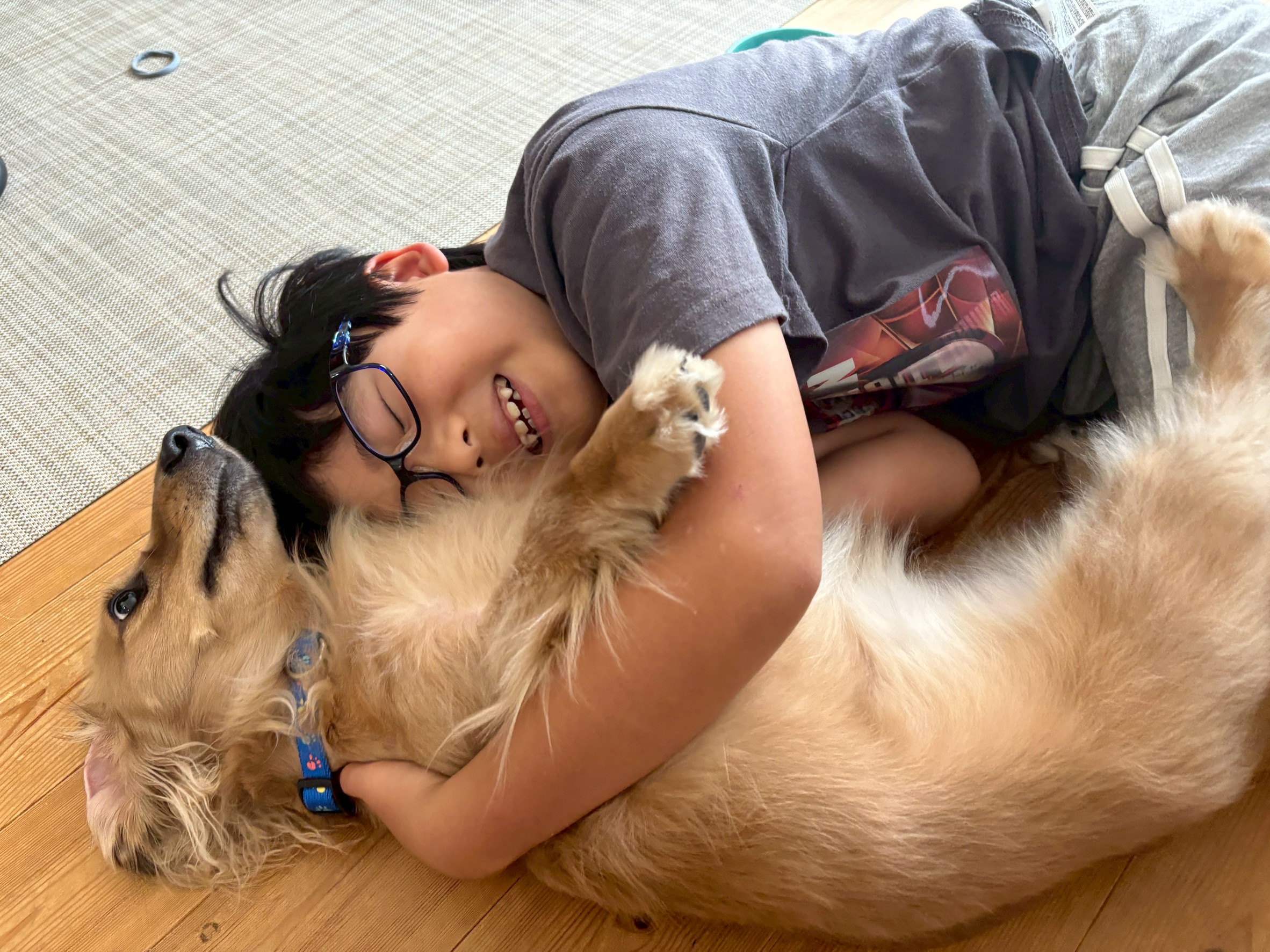 愛犬が夢中になる！ 魔法の講座（全オンライン・マンツーマン形式）