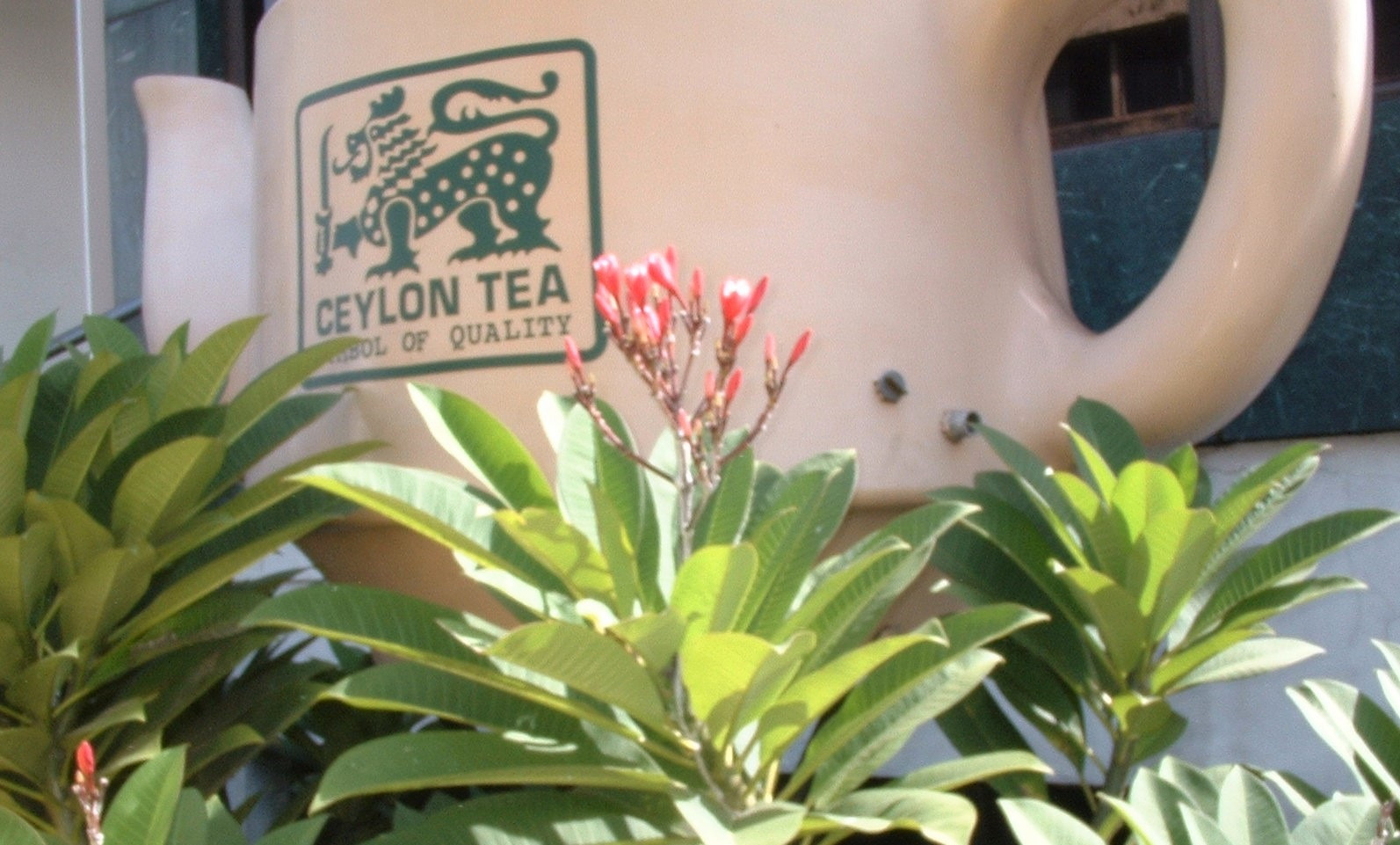 CEYLON　TEA　