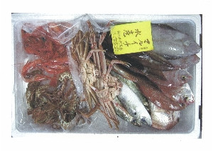 採りたての鮮魚を発送できます。
