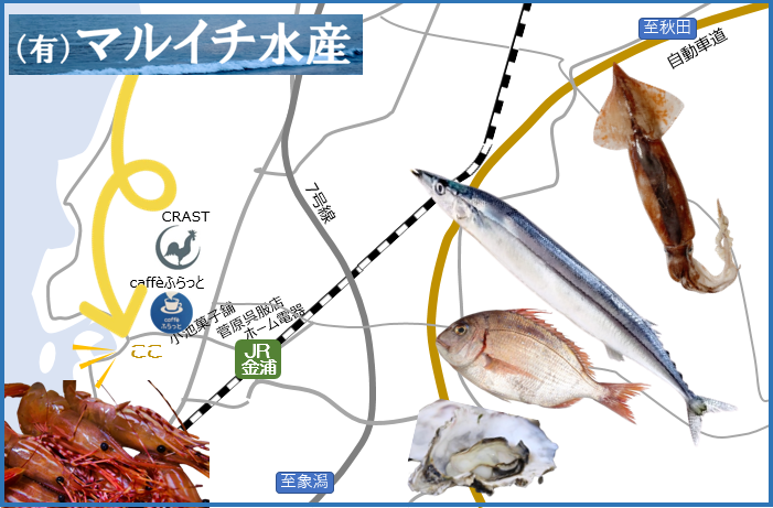 案内マップマルイチ水産.PNG