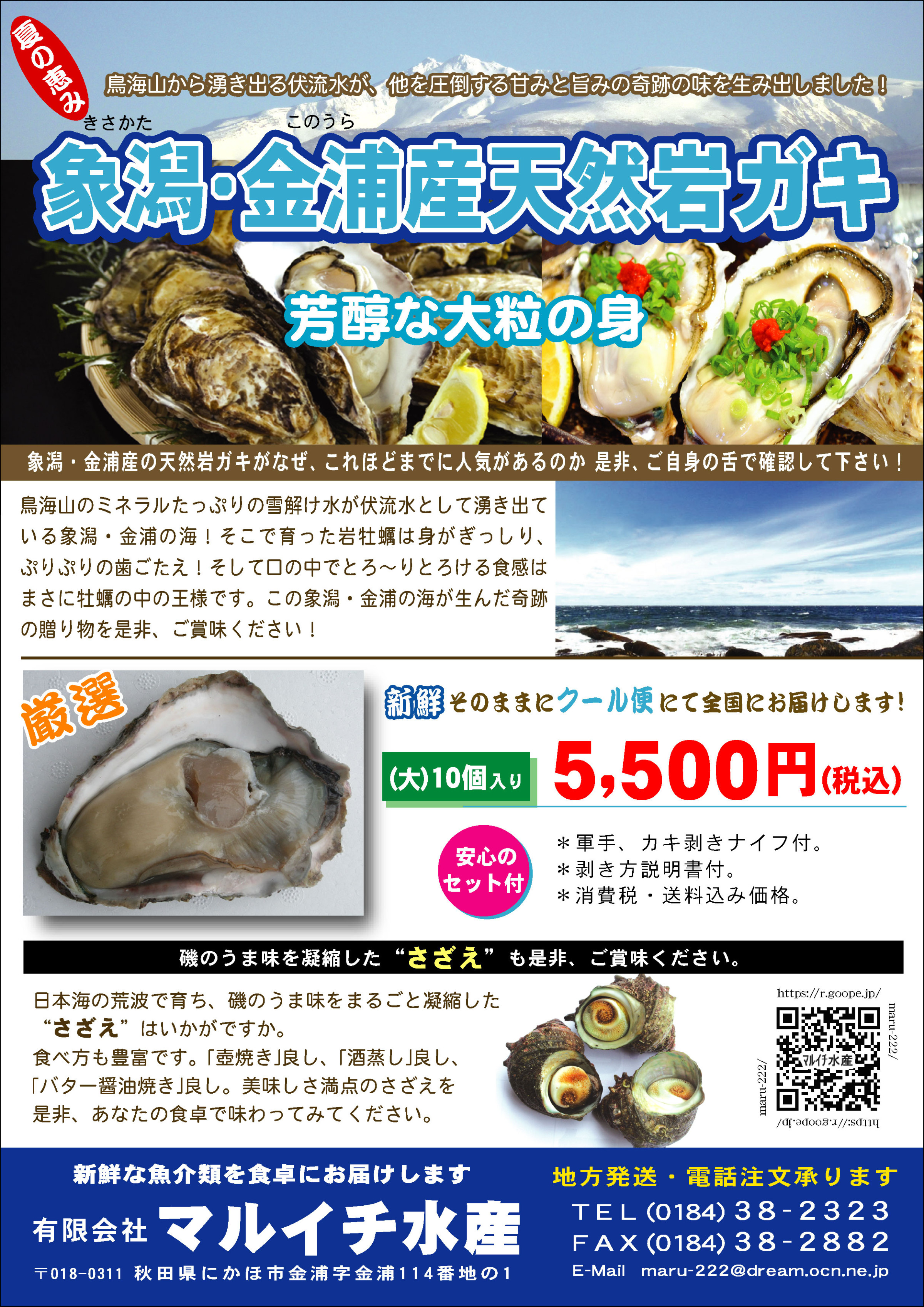 2025年岩ガキの季節になりました。