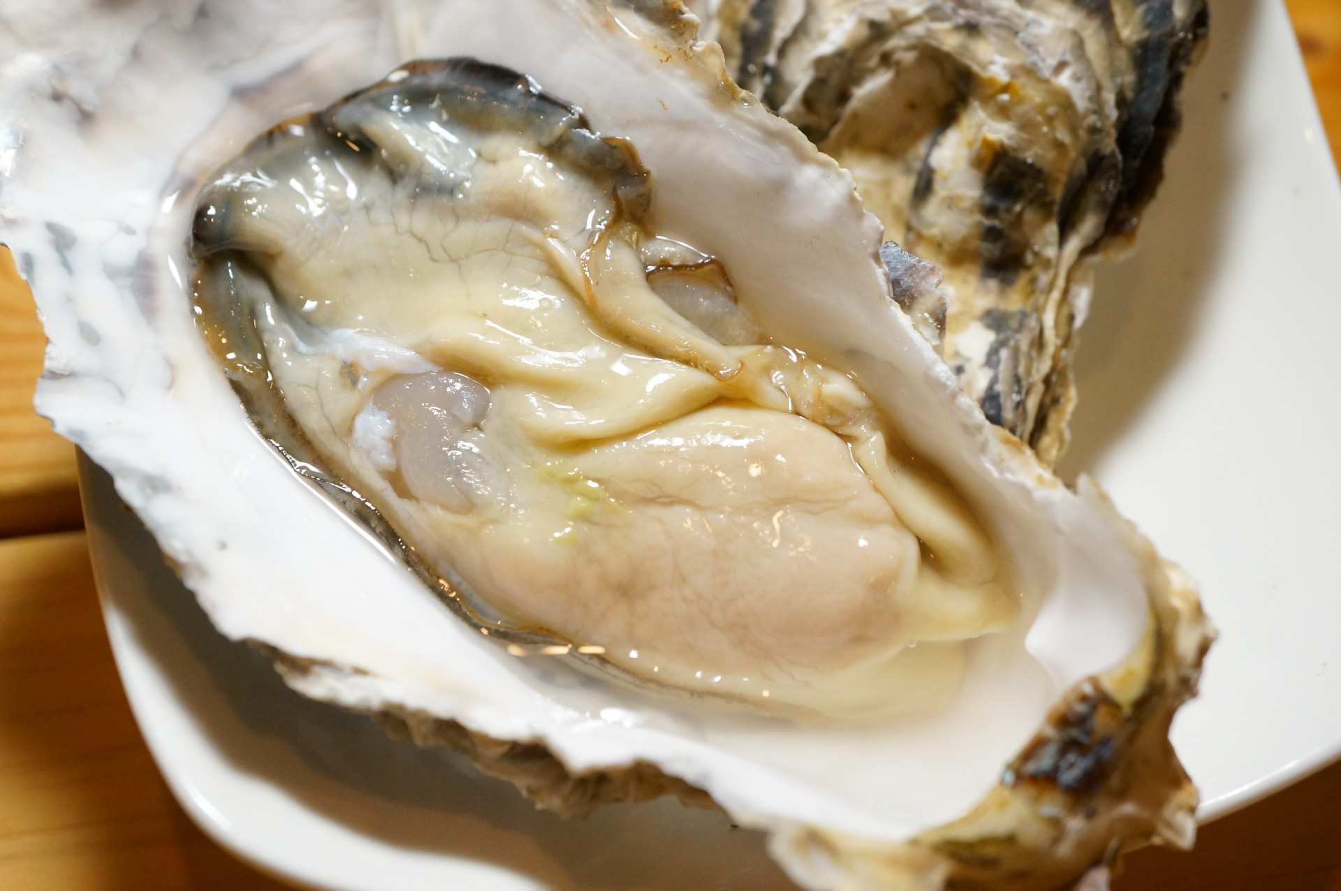 岩ガキの季節になりました。クリｨミーなお味をおたのしみくだしい。