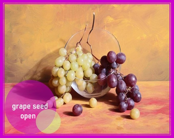 grapeseed　open.jpg