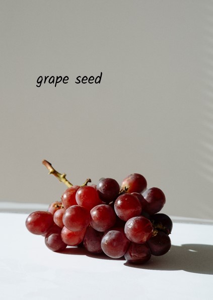 grapeseedオープン.jpg