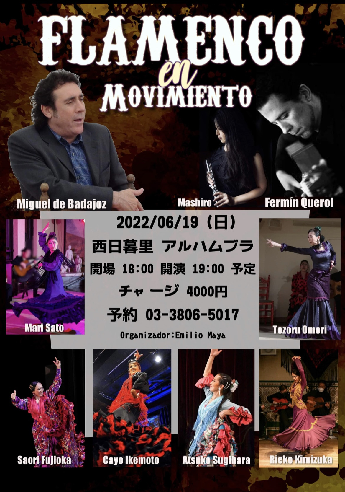 Flamenco en Movimiento