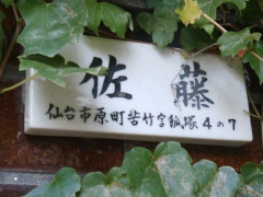 P8292829.jpg