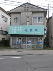P9052842.jpg