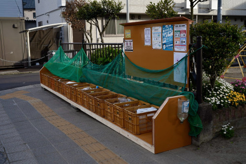 DSC00056.jpeg