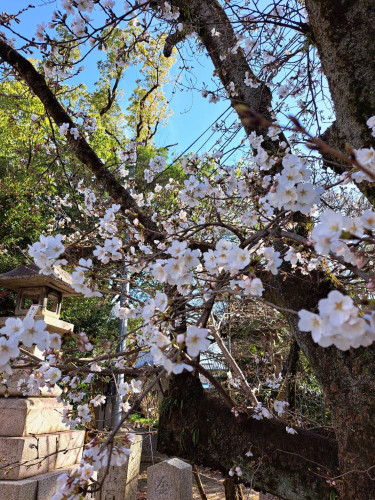 4月の定休日