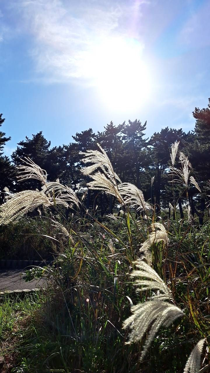 10月の休業日