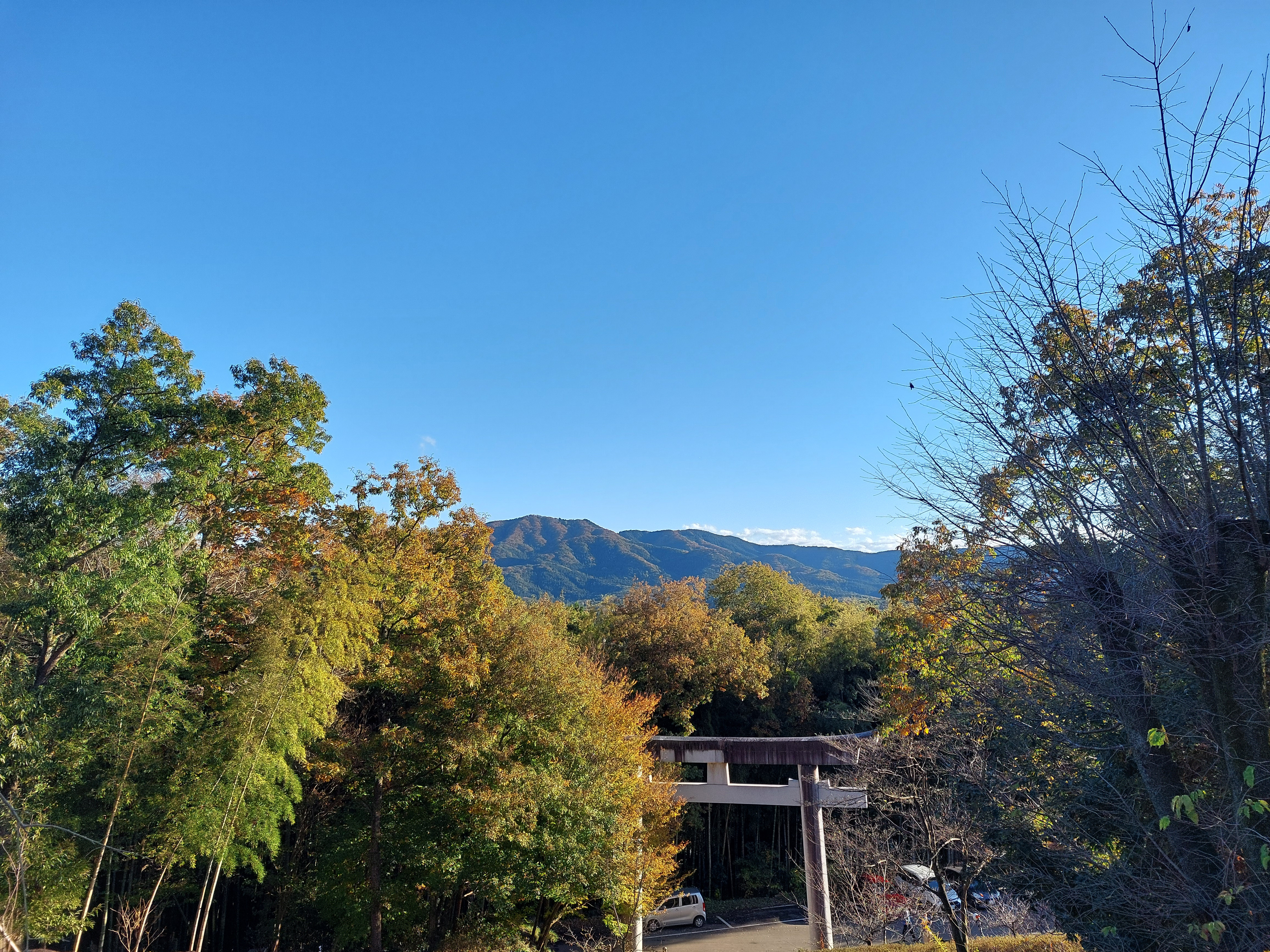 11月と少し早い年末年始のお知らせ