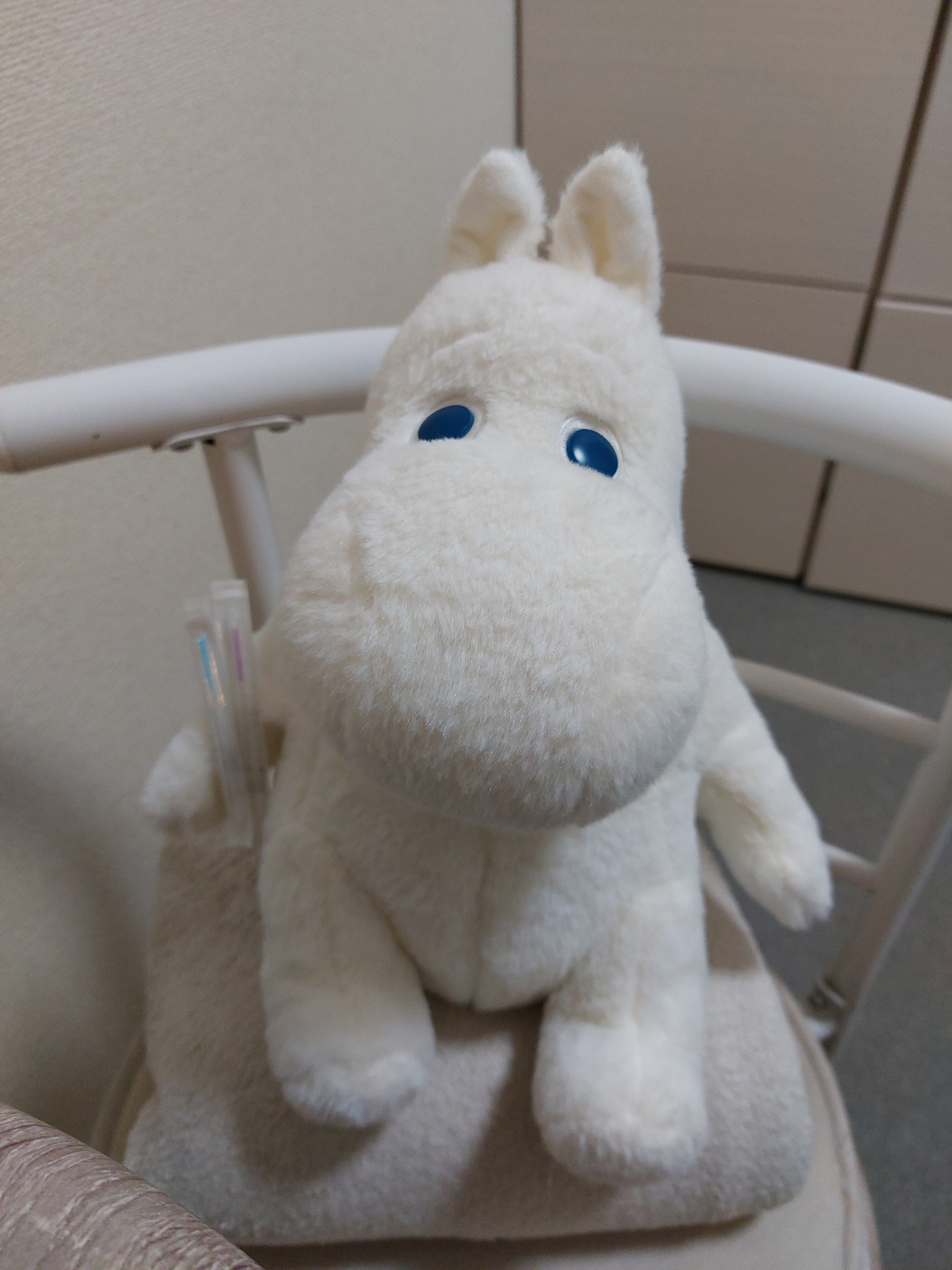 臨時“診療日”のお知らせ