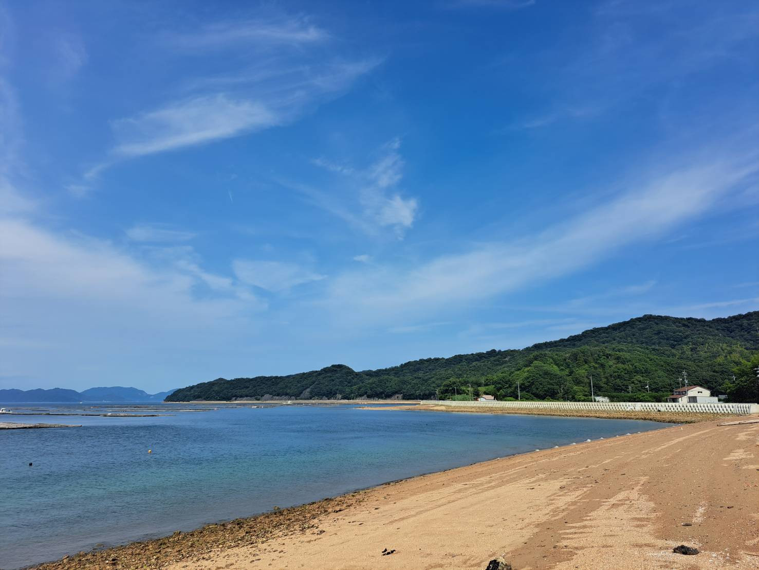 夏期の臨時休業について