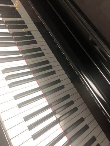 きんちょう　したのね