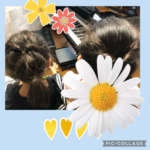 新スケジュール　スタート