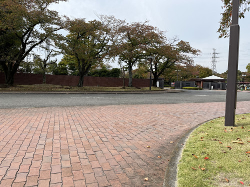 音大　