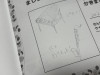 IMG_1158.jpeg