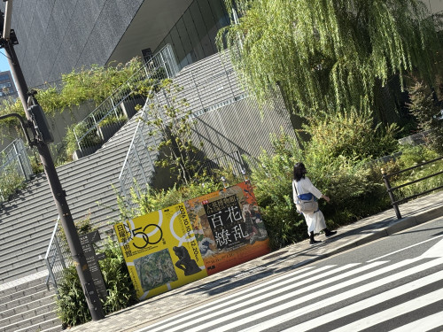 IMG_9618.jpeg
