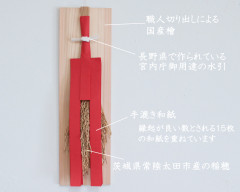 2022.伊勢流小アカ.jpg